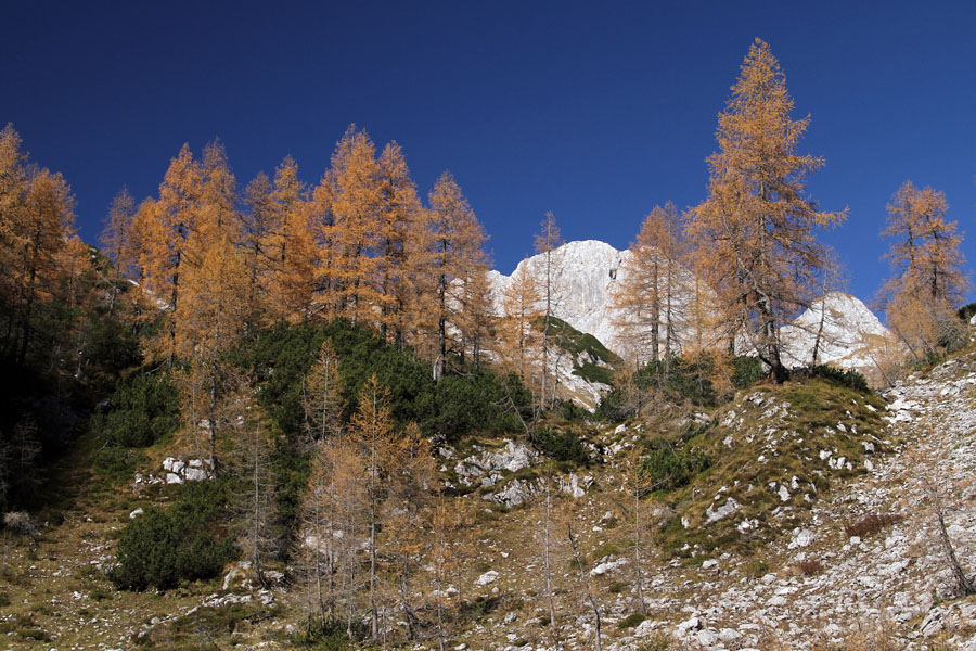 Planina Jezerce II.
Planina Jezerce in Škednjovec.
Ključne besede: planina jezerce škednjovec