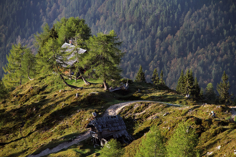 Lovska koča na Krstenici
Lovska koča na planini Krstenica.
Ključne besede: planina krstenica