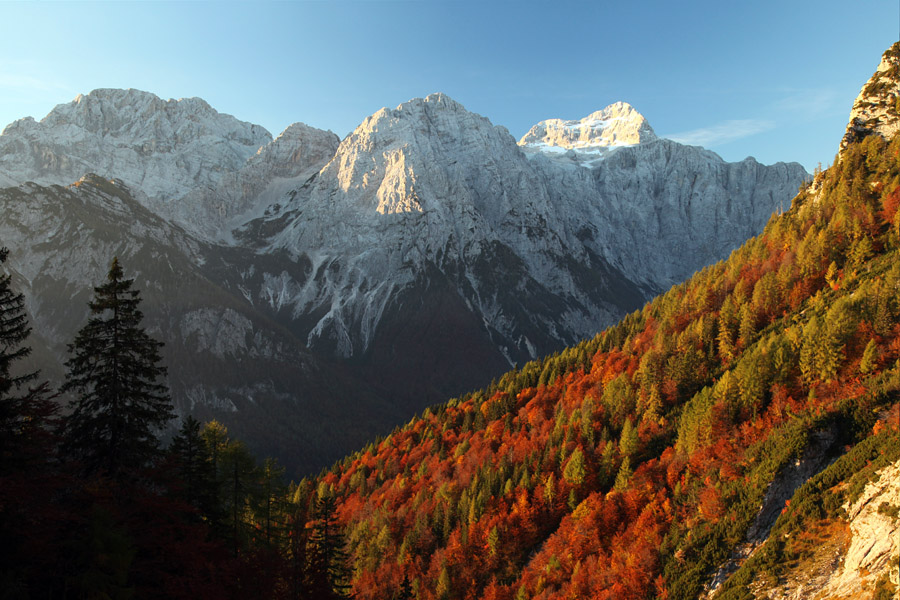 S poti na Kukovo špico
S poti ob Črlovcu se višje prično odpirati čudoviti jesenski razgledi. Pot na Kukovo špico.
Ključne besede: kukova špica triglav črlovec cmir rjavina