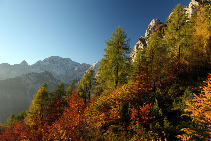 Jesen nad dolino Vrat
Listavci so že globoko jesensko obarvani, macesni pa imajo svojo značilno zlato rumeno barvo na višjih nadmorskih višinah. Pot na Kukovo špico.
Ključne besede: kukova špica rjavina luknja peč