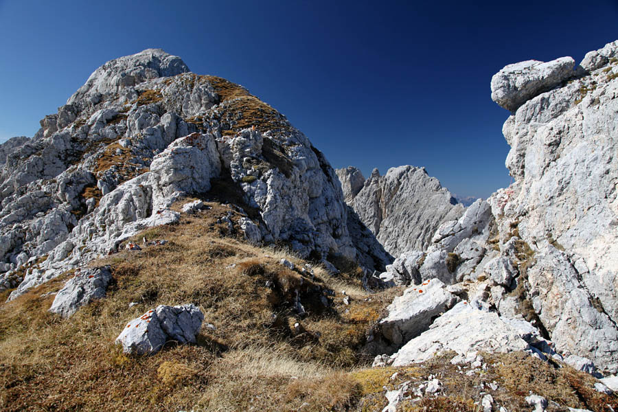 Ob Škrnatarici II.
Med obema vrhovoma pripelje precej strm in gruščnat žleb. Desno se vidi vrv, ki olajša vzpon na sam vrh, levo pa pričetek grebena proti Dovškemu križu. Zadaj nekaj od neštetih špic ob Široki peči.
Ključne besede: škrnatarica