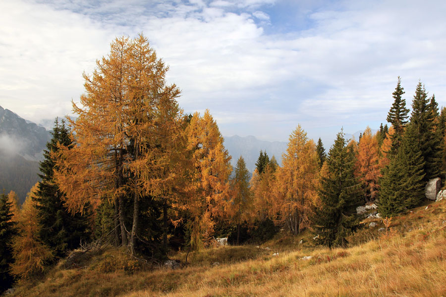 Nad planino Za Skalo
Na planini Za Skalo naju je pričakala megla in veter. Skoraj dve uri sva čakala na na napovedane razjasnitve. Potem se je jasnilo skozi celo Travniško dolino.
Ključne besede: planina za skalo travniška dolina