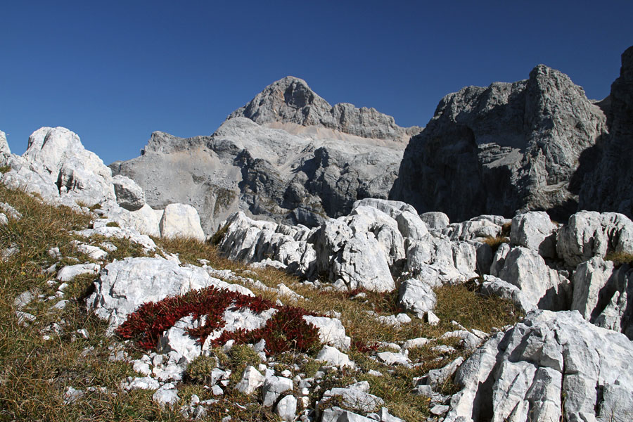 Najvišji sosed
Triglav z Vodnikovega Vršaca.
Ključne besede: zadnjiški vodnikov vršac triglav