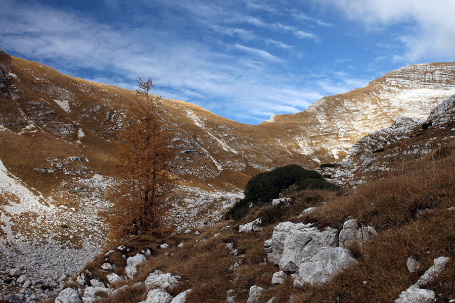 Travniška dolina I.
Kmalu pod 2000m se pričnejo macesni. Zadaj je Travnik.
Ključne besede: travniška dolina travnik