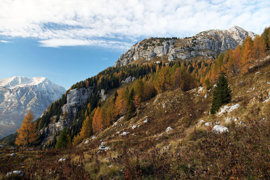 S planine Za Skalo I.
Zadaj je Bavški Grintavec, desno pa Plazki Kuk.
Ključne besede: planina za skalo bavški grintavec plazki kuk