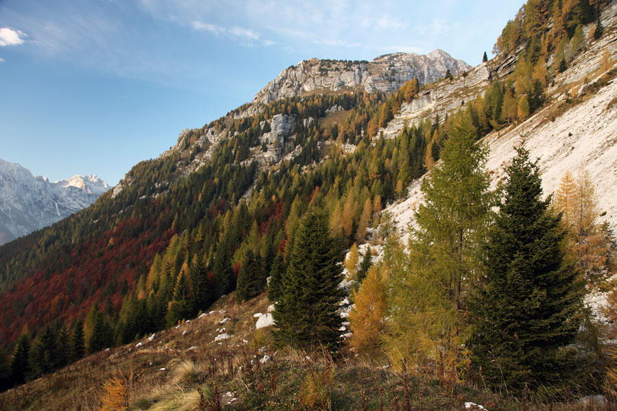 S planine Za Skalo III.
Proti Plazkemu Kuku.
Ključne besede: plazki kuk planina za skalo