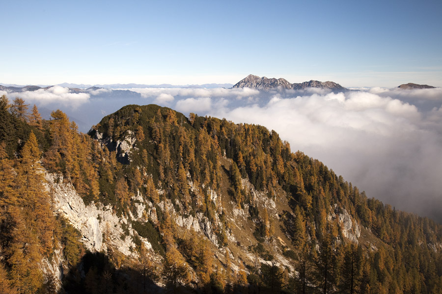 Nad planino Klek
Del poti, kjer prvič pogledamo čez greben nad planino Klek.
Ključne besede: klek planina pokljuka debela peč