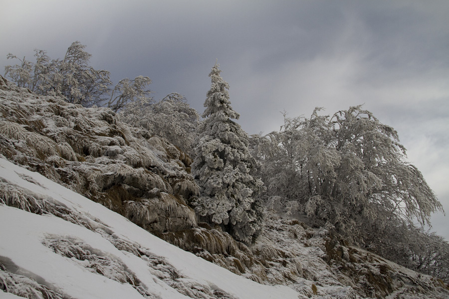 Šavnik IV.
Pod vrhom Šavnika.
Ključne besede: planina za šavnikom šavnik