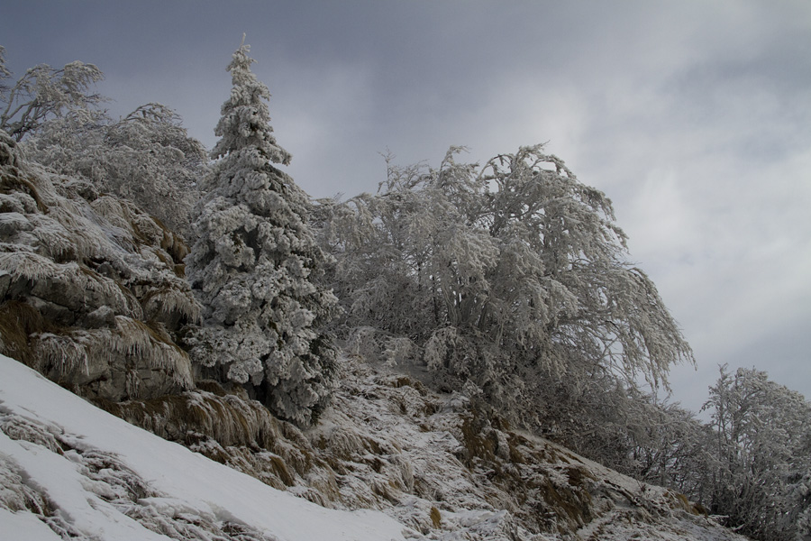 Šavnik III.
Kar naenkrat so se pripodili oblaki.
Ključne besede: planina za šavnikom šavnik