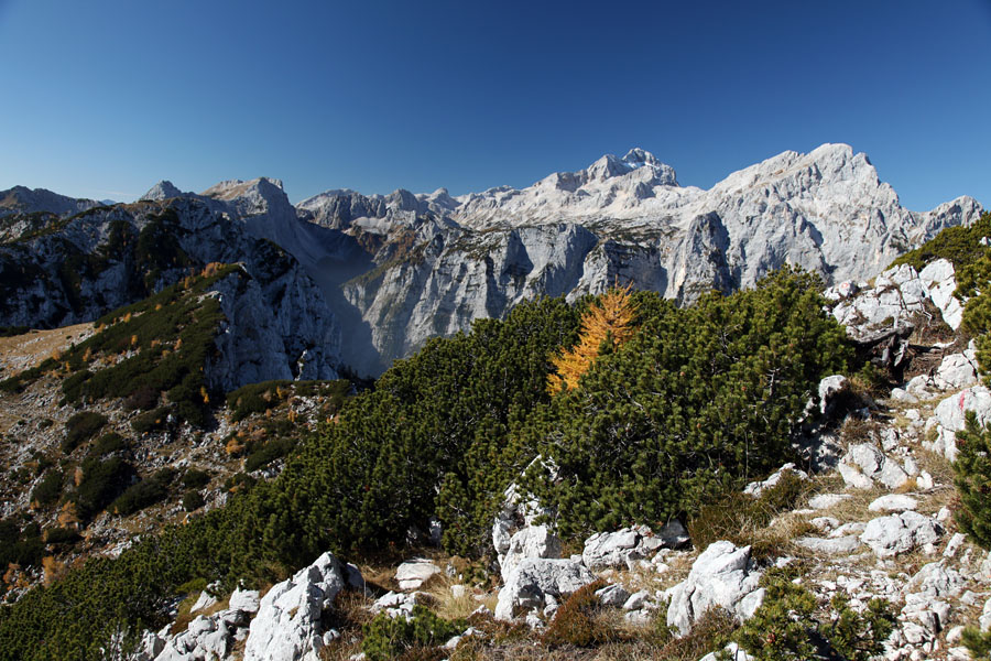 Tik pod vrhom
Tik pod vrhom Debele peči se odpre pogled na Triglav in njegove sosede.
Ključne besede:  pokljuka debela peč triglav rjavina krma