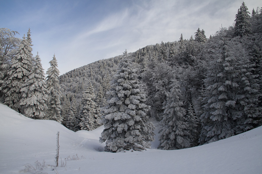 Planina za Šavnikom III.
Proti planini za Šavnikom.
Ključne besede: planina za šavnikom