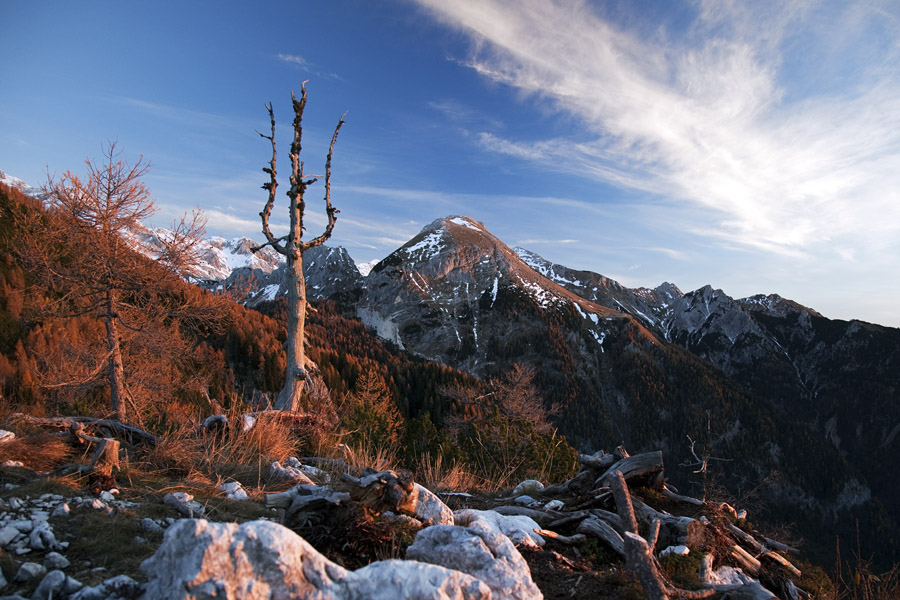 Viharnik s Toscem
Viharnik in Tosc v ozadju. Planina Krstenica.
Ključne besede: planina krstenica tosc