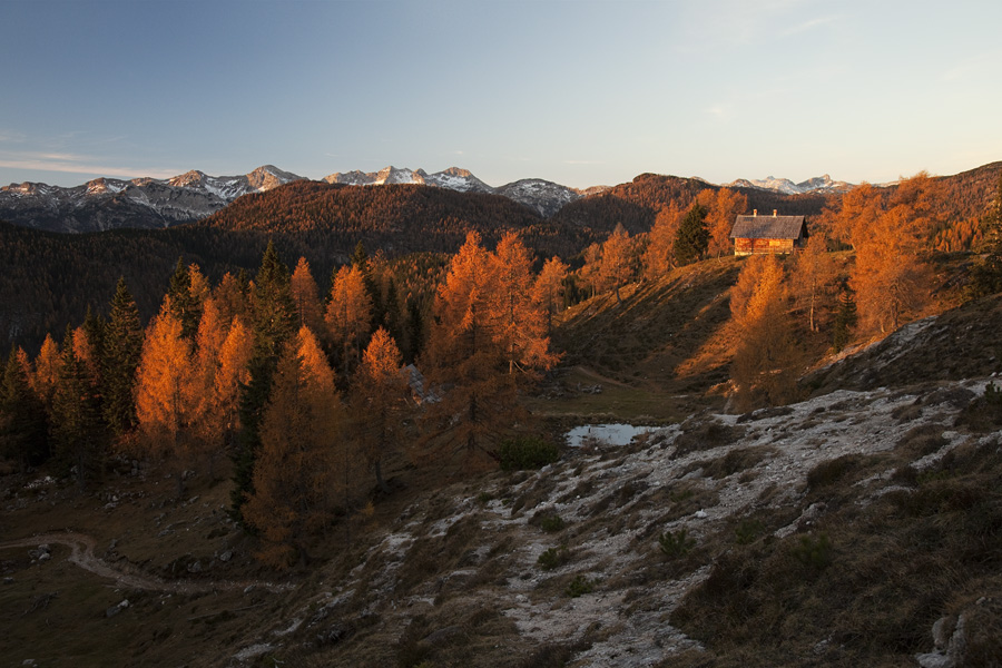 Ko zagorijo macesni I.
Prihod na planino Krstenica v prvih sončnih žarkih.
Ključne besede: planina krstenica