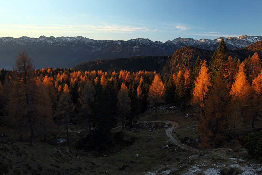 Ko zagorijo macesni II.
Ko sonce obsveti vrhove macesnov. Planina Krstenica.
Ključne besede: planina krstenica