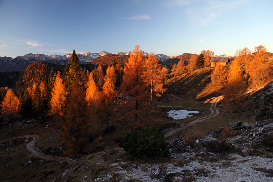 Ko zagorijo macesni III.
Ko prvi sončni žarki osvetlijo macesne, zgleda, kot da bi le ti goreli. Planina Krstenica.
Ključne besede: planina krstenica