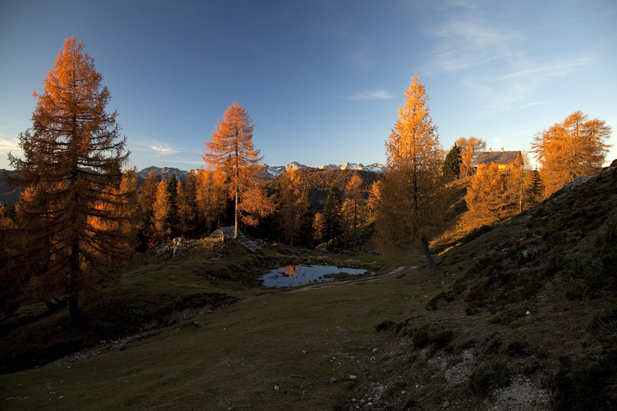 Jutro na Krstenici
Ko se prebuja planina Krstenica.
Ključne besede: planina krstenica