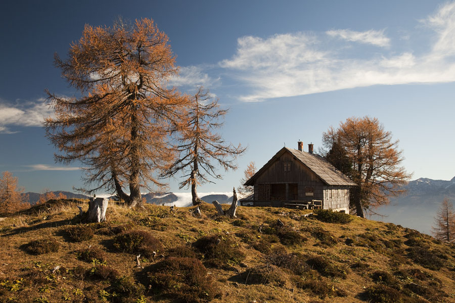 Jesen na Krstenici II.
Jesen na planini Krstenica.
Ključne besede: planina krstenica