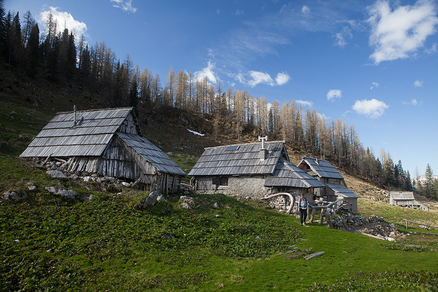 Planina Viševnik
Planina Viševnik.
Ključne besede: planina viševnik