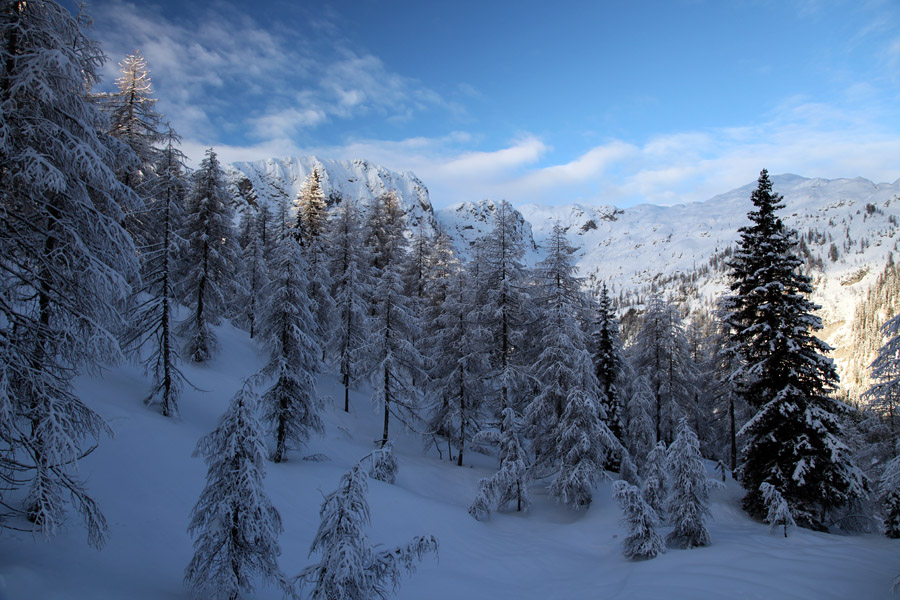 Nad planino Laz
V senčnih delih je ostalo nekaj novozapadlega snega.
Ključne besede: planina v lazu