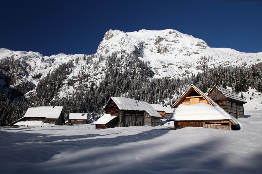 Planina V Lazu II.
Planina V Lazu.
Ključne besede: planina v lazu