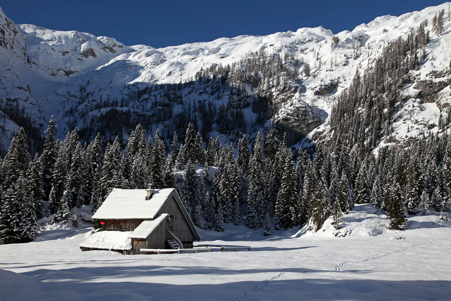 Planina V Lazu III.
Stan v planini Laz.
Ključne besede: planina v lazu