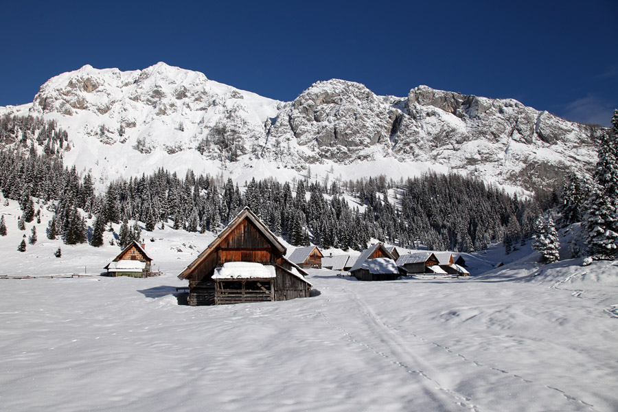 Planina V Lazu IV.
Planina Laz.
Ključne besede: planina v lazu