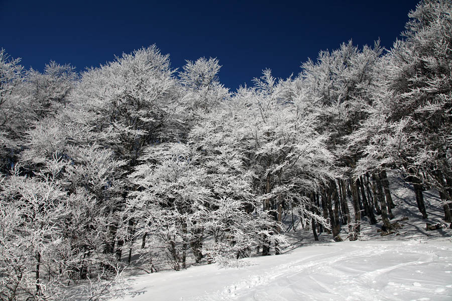 Pod Šavnikom I.
Malo snega in veliko ivja. Pod Šavnikom.
Ključne besede: šavnik