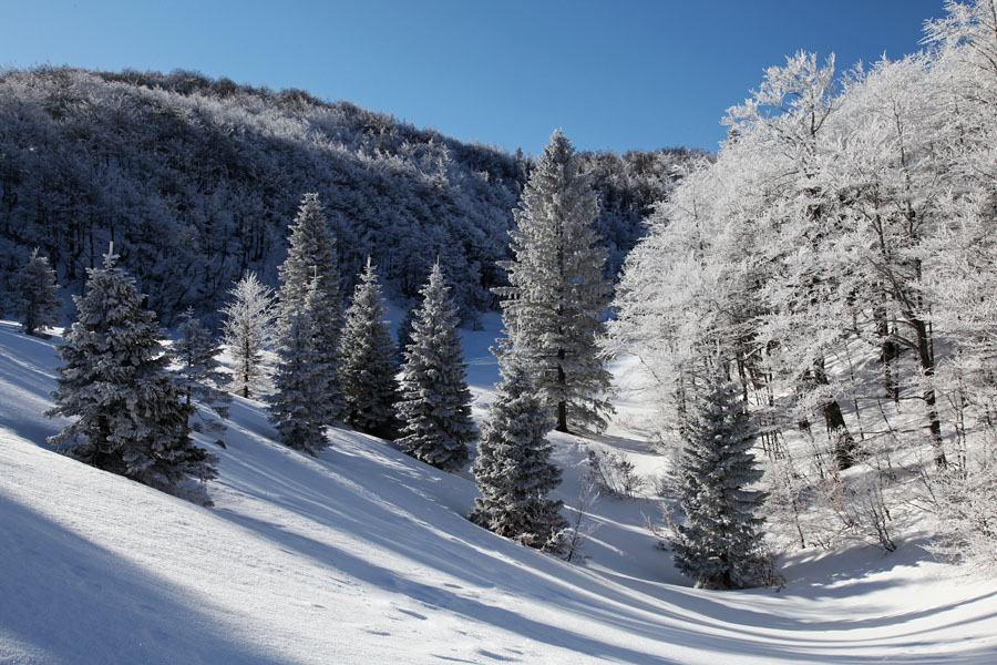 Dolina pod Šavnikom
Dolina pod Šavnikom.
Ključne besede: šavnik