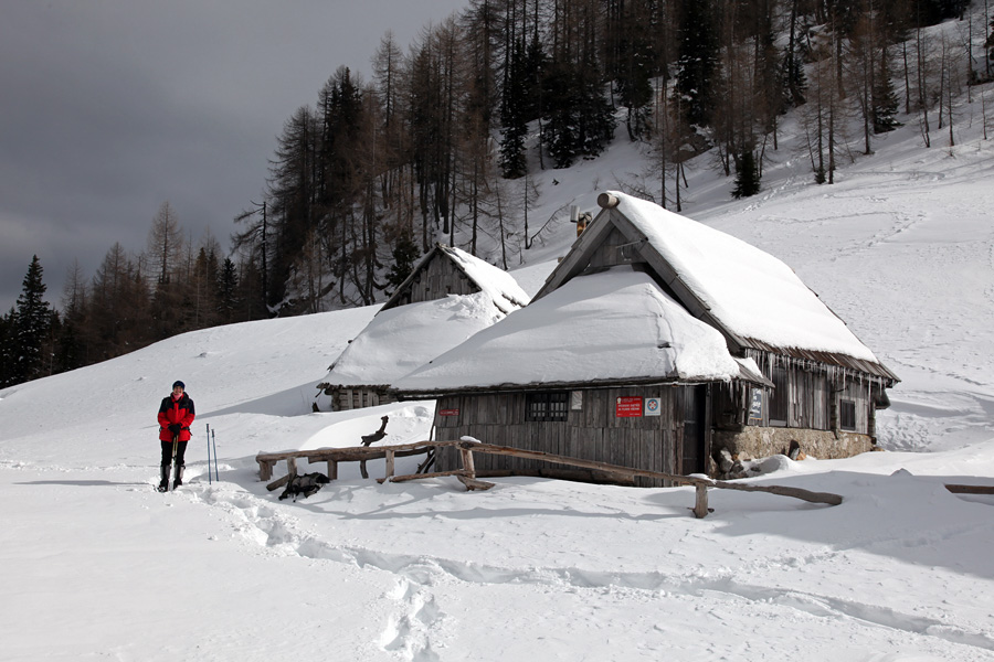 Planina Viševnik I.
Na planini Viševnik.
Ključne besede: planina viševnik