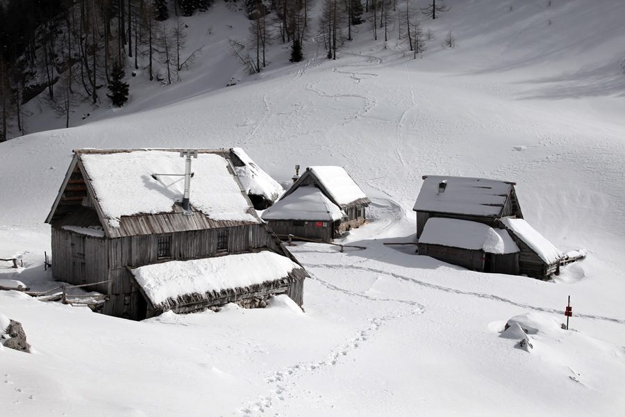 Planina Viševnik II.
Na planini Viševnik.
Ključne besede: planina viševnik