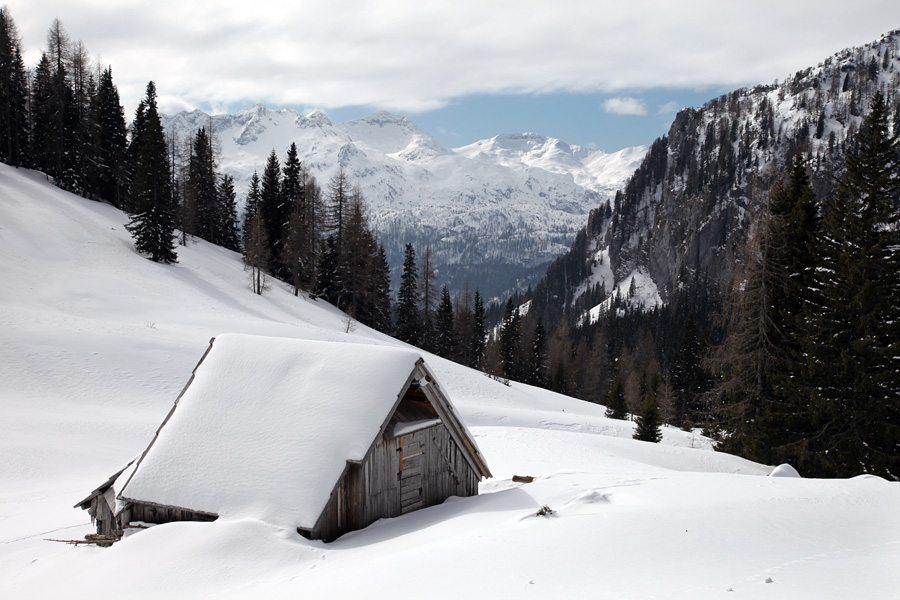 Planina Viševnik III.
Z razgledom na Podrto goro in Tolminski Kuk.
Ključne besede: planina viševnik