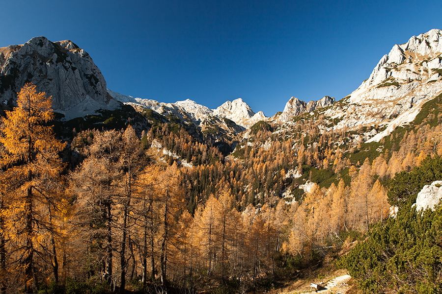 Vrh Hribaric in Škednjovec
Ogradi, Vrh Hribaric in Škednjovec.
Ključne besede: jezerca planina krstenica ogradi vrh hribaric škednjovec