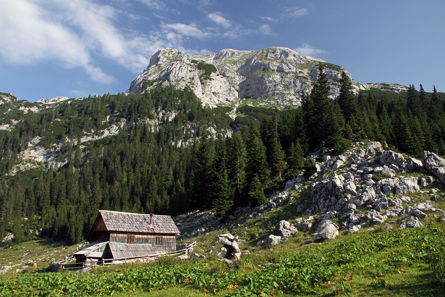 Planina v Lazu z Debelim vrhom
Stan na planini v Lazu. Zadaj je Debeli vrh.
Ključne besede: planina laz debeli vrh