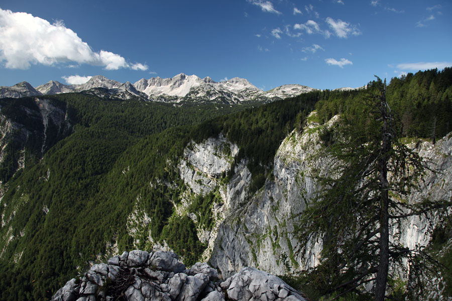 Razglednik na orliču II.
Prepadne stene Komarče z razglednika na Orliču.
Ključne besede: orlič črno jezero komna komarča