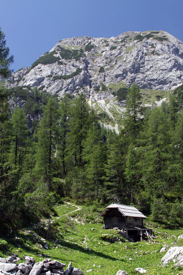 Planina pod Mišelj vrhom
Stan na planini pod Mišelj vrhom ob poti proti Stogovom.
Ključne besede: planina pod mišelj vrhom prevaljski stog