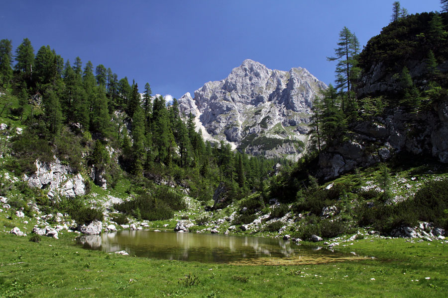 Vernar
Presihajoče jezero pod planino pod Mišelj vrhom in Vernar.
Ključne besede: planina pod mišelj vrhom vernar jezero presihajoče