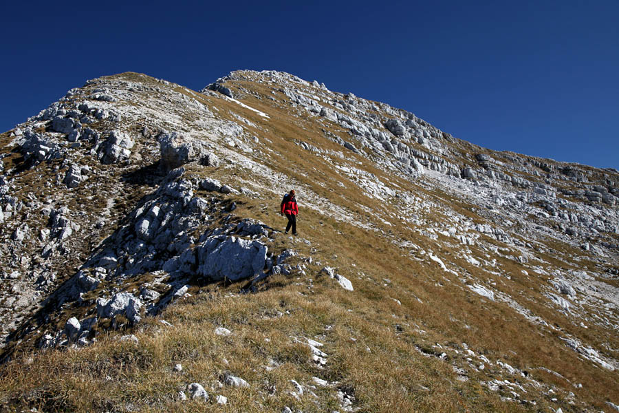 Sestop s Travnika
Sestop s Travnika v Travniško dolino.
Ključne besede: travnik