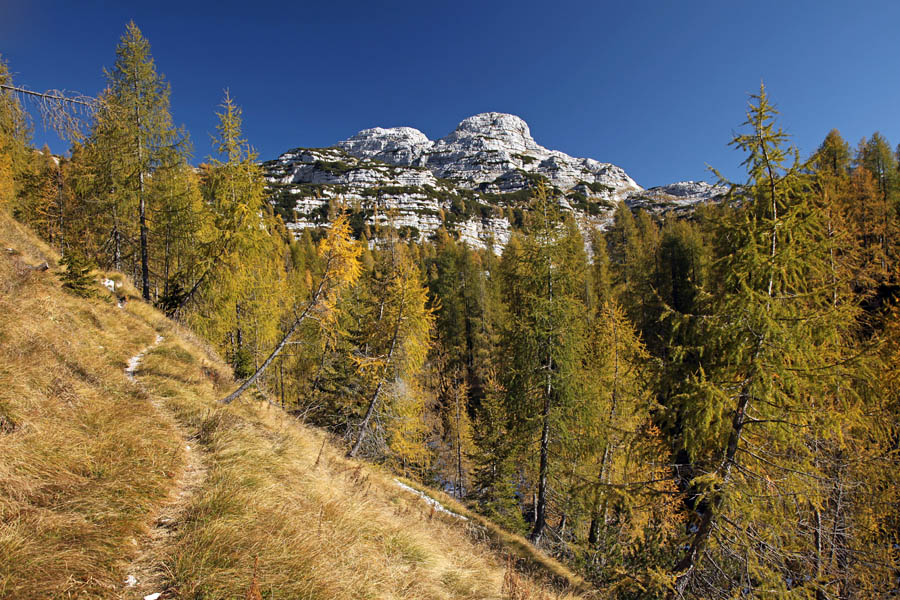 Pod Kalom
Pot z Velikih vrat proti planini Za Skalo.
Ključne besede: kal planina za skalo