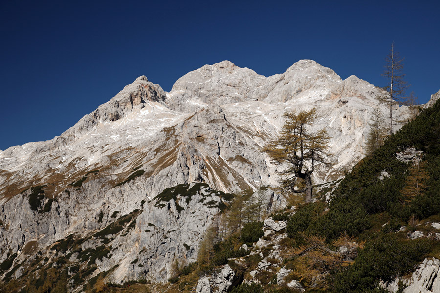 Triglav z macesnom
Triglav z macesnom. Nad Vodnikovim domom.
Ključne besede: triglav vodnikov dom