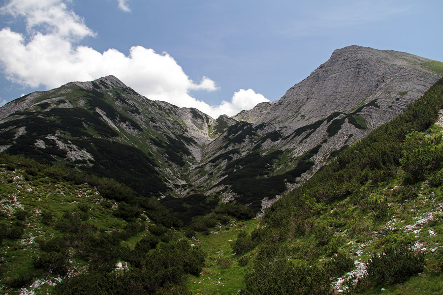 Špik in Mala Rodica
Špik in Mala Rodica.
Ključne besede: špik mala rodica suha