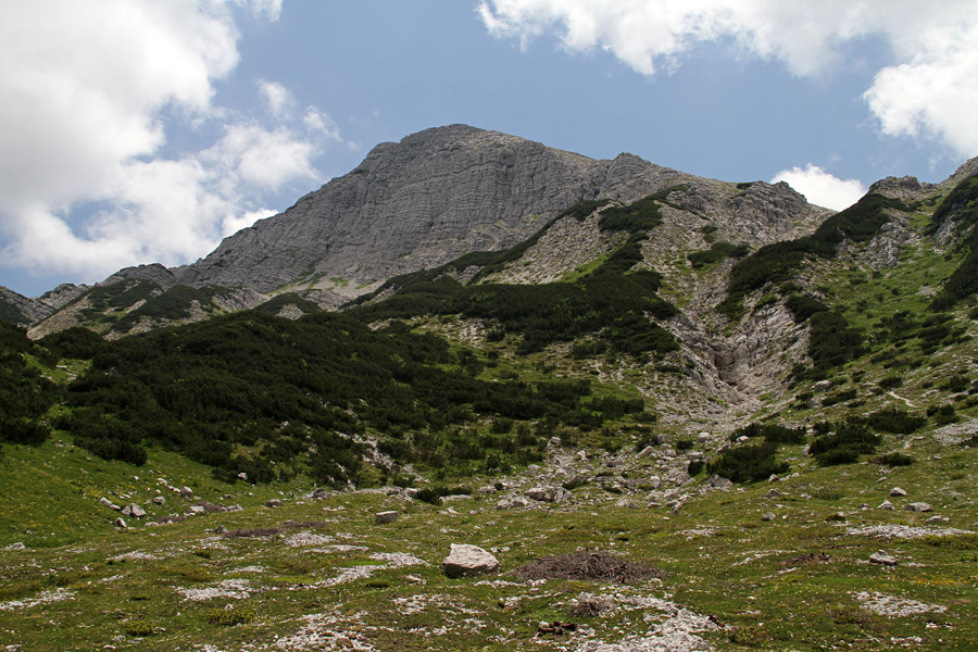 Mala Rodica
Spust z Rodice proti planini Suha.
Ključne besede: mala rodica planina suha