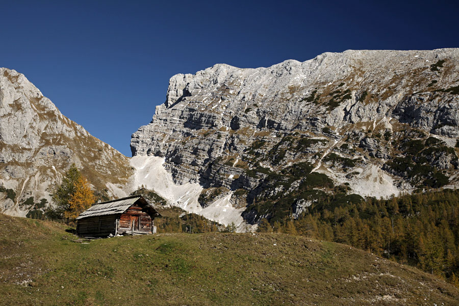 Planina Pod Mišelj vrhom
Stan na planini Pod Mišelj vrhom. Zadaj so Bohinjska vratca in Tosc.
Ključne besede: planina pod mišelj vrhom bohinjska vratca tosc