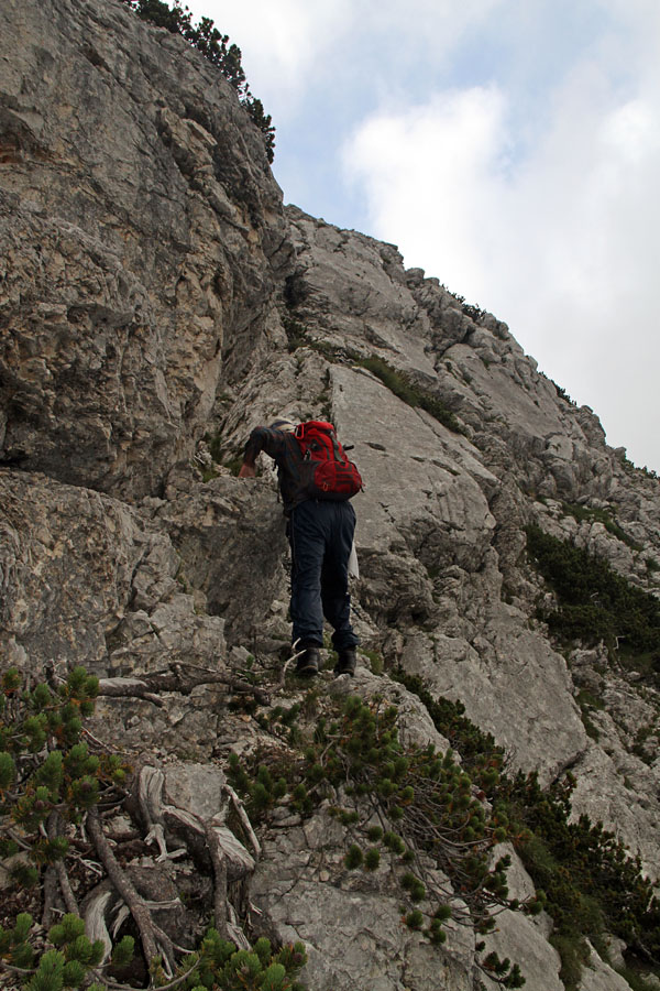 Pot na Bohinjski Migovec
Krajši del proti vrhu Bohinjskega Migovca je kar malo siten.
Ključne besede: bohinjski migovec