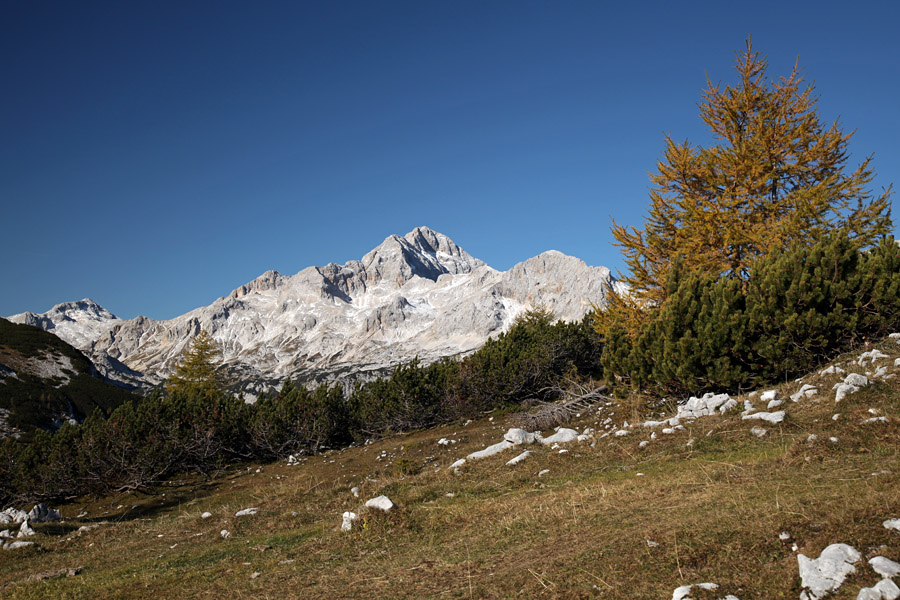 S poti na Mrežce III.
Proti vrhu Mrežc se pokaže Triglav.
Ključne besede: mrežce triglav