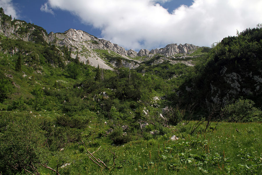 Nad Osredki
Popoldan nad planino Osredki.
Ključne besede: planina osredki