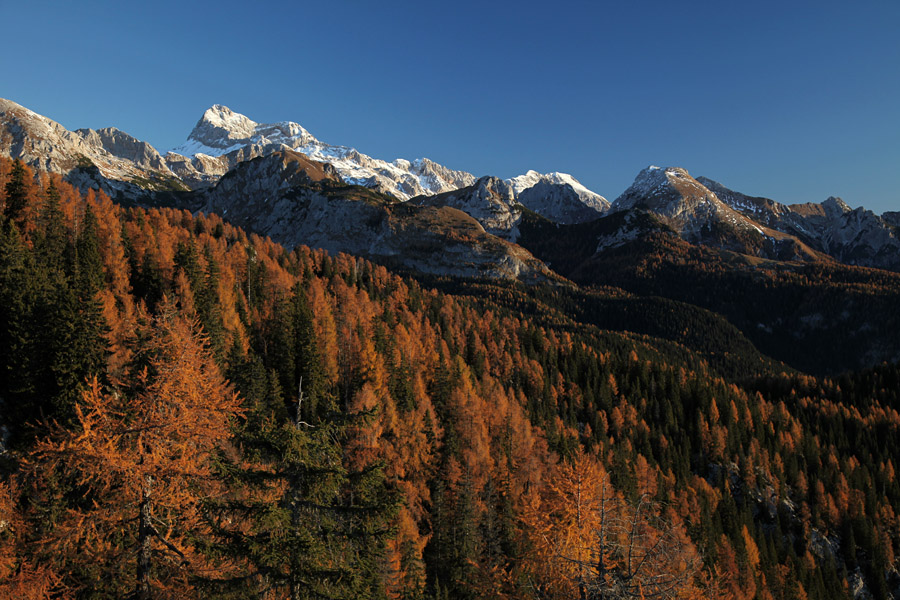 Triglav nad macesni
Nad macesnovim gozdom se prikaže Triglav. Pot na Pršivec.
Ključne besede: tpršivec triglav