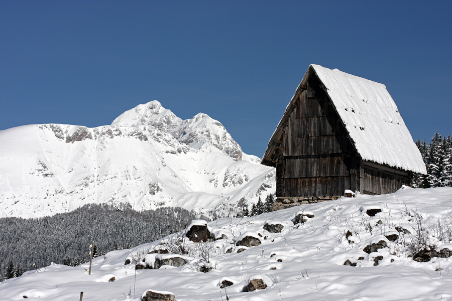 Senik na Zajamnikih
Z razgledom na Triglav.
Ključne besede: zajamniki triglav tosc