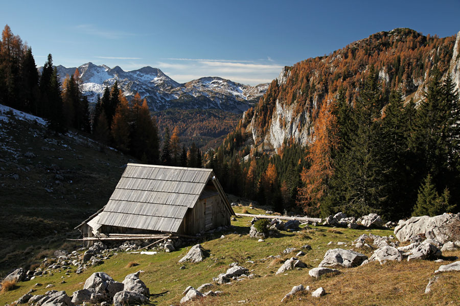 Na planini Viševnik
Na planini Viševnik.
Ključne besede: planina viševnik