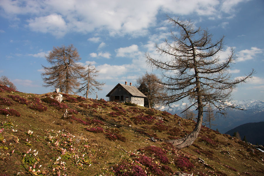 Pomlad na Krstenici III.
Lovska koča na planini Krstenica.
Ključne besede: planina krstenica