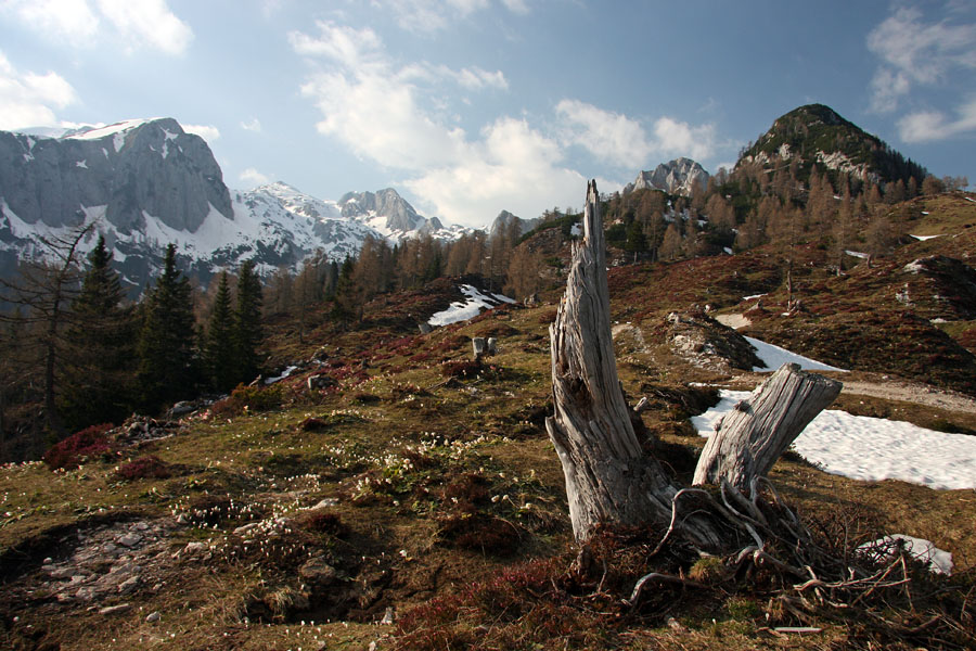 Pomlad na Krstenici IV.
Pogled proti vrhu Ogradov, Vrhu Hribaric in Škednjovcu.
Ključne besede: planina krstenica ogradi vrh hribaric škednjovec jezerski krsteniški stog